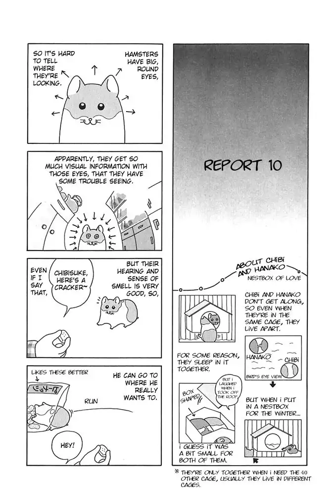 Hamster no Kenkyuu Report Chapter 4 9